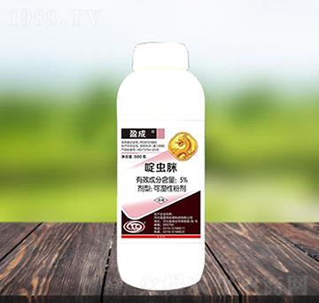 5%��x(ch��ng)��-ӯ��-������