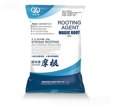 ������-Ħ��-�y�מ�����