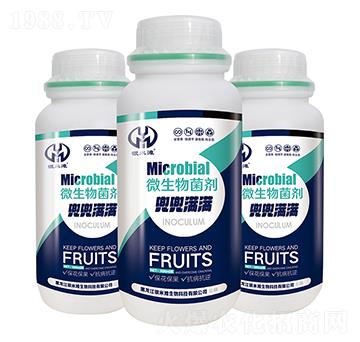 �����M�M΢�������-�y�מ�����