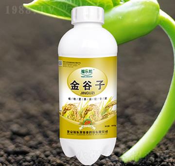 金谷子-福樂(lè)邦