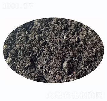 發(fā)酵純羊糞-天九農業(yè)