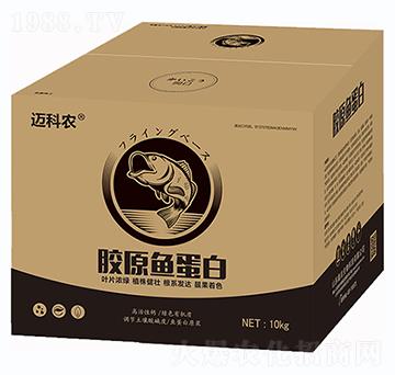 膠原魚(yú)蛋白-邁科農(nóng)-鑫垚生物