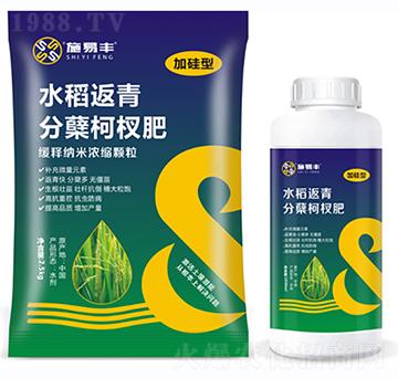 水稻返青分蘗柯杈肥-施易豐