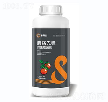 ΢�������-�������h-ʩ���S