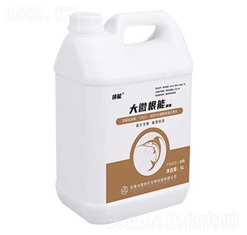 ��΢���ܽ���-����-��΢�r��