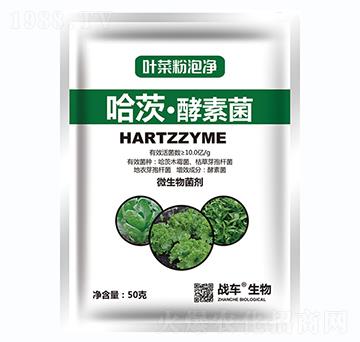 哈茨·酵素菌-葉菜粉泡凈-戰(zhàn)車