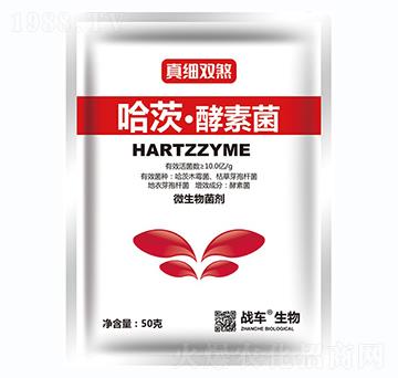 哈茨·酵素菌-真細(xì)雙煞-戰(zhàn)車