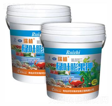 �G�~����-�ֿ��S