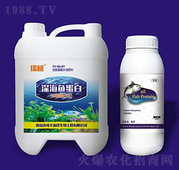 ��~(y��)����-�ֿ��S