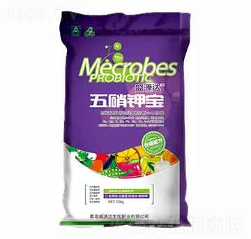 ����⛌�-��Դʢ�_