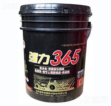 強(qiáng)力365-戰(zhàn)車(chē)