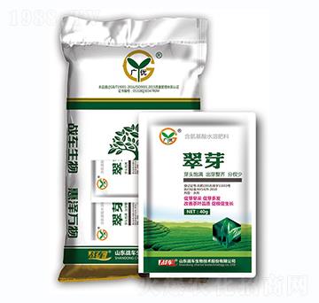 翠芽-戰(zhàn)車