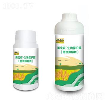 ���ﱣ�o(h��)Ĥ-������-�M(m��n)������