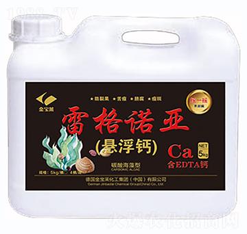 雷格諾亞·懸浮鈣-金谷丁