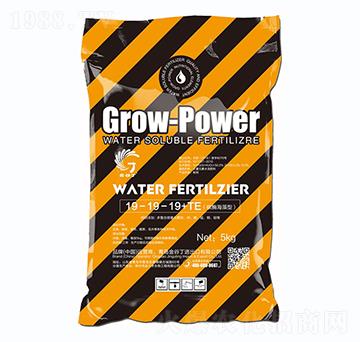大量元素水溶肥19-19-19+TE-金谷丁