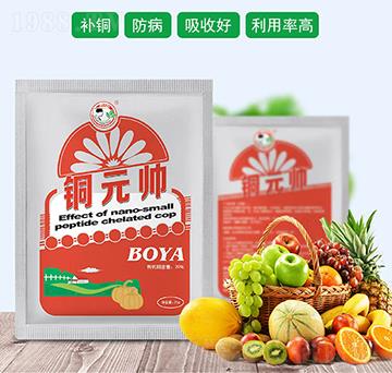 銅元帥-中農(nóng)國(guó)化