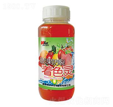 ���������ɫ�`-���S��