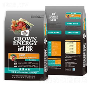 冠能-中加益農(nóng)