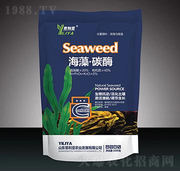 ���塤̼ø-������