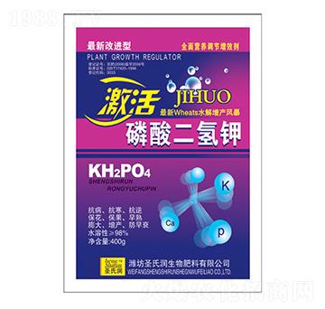 ������������-�����_