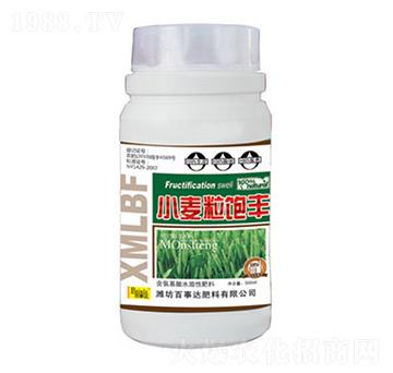 С������S-�����_