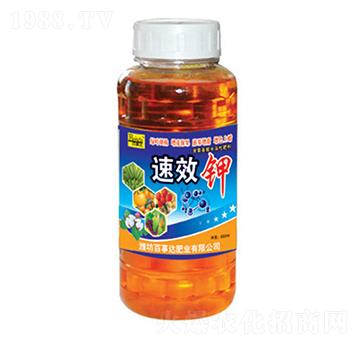 ��Ч�-�����_