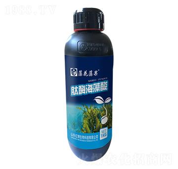 肽酶海藻酸-藻花藻果-億博生物