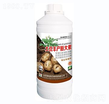 �����S�a�����-ʩ�۸�