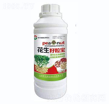 ����������-ʩ�۸�