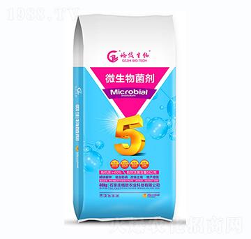 微生物菌劑-格致農(nóng)業(yè)