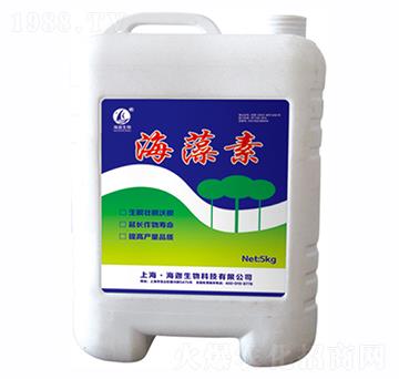 ������-�t������