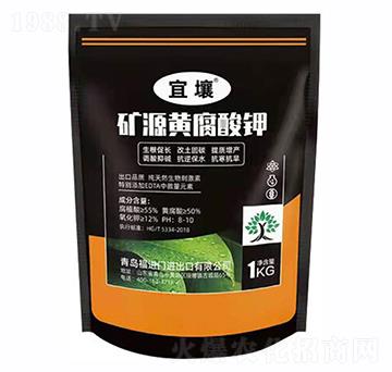 �VԴ�S�����-����-�t������