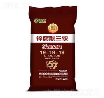 �\�������@19-19-19-�Ѓ|�r