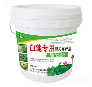 ��ɏ�������\�F�V��-���r����