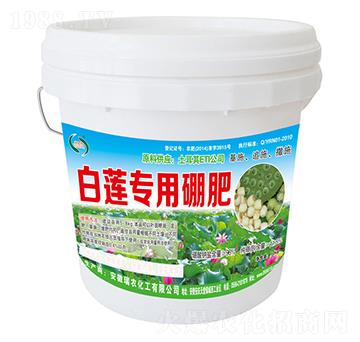 ��ɏ�������-���r����