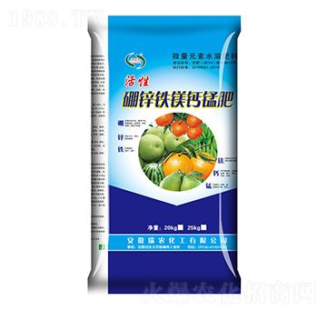 ���\�F�V�}�i��-���r����