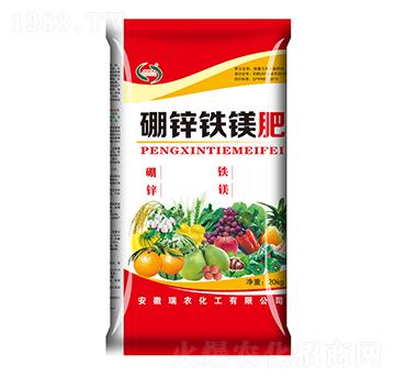 ���\�F�V��-���r����