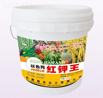 �t���-���r����