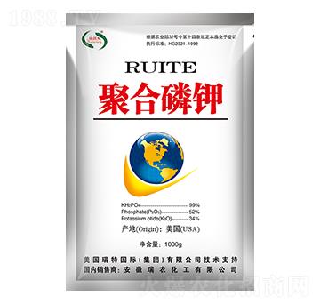 �ۺ����-���r����