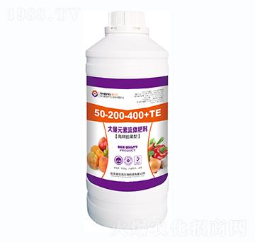 �������ʹ���Ԫ�����w����50-200-400+TE-ʩ�۸�