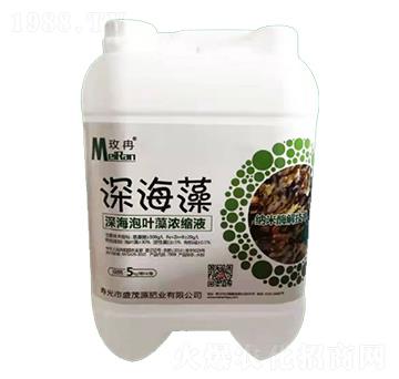 深海泡葉藻濃縮液-深海藻-盛茂源