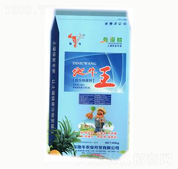 微生物菌劑-地牛王-地牛