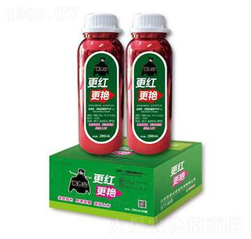 ���t���G�~���-�ڰ���