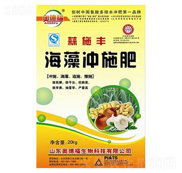 ����_ʩ��-��ʩ�S-�W