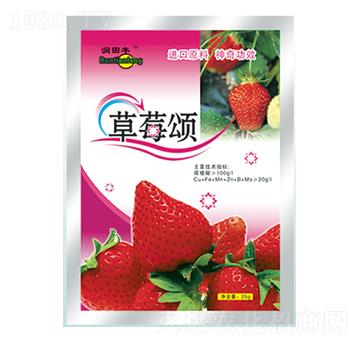草莓頌-潤田肥料