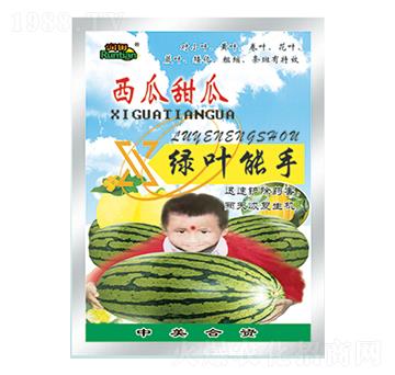 西瓜甜瓜綠葉能手-潤(rùn)田肥料