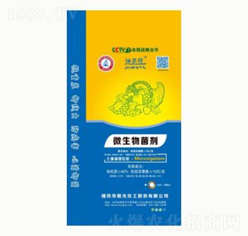 40kg΢�������-�