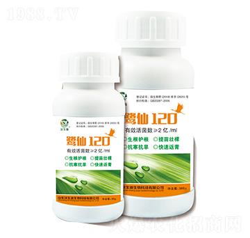 鷺仙120-沃生源生物