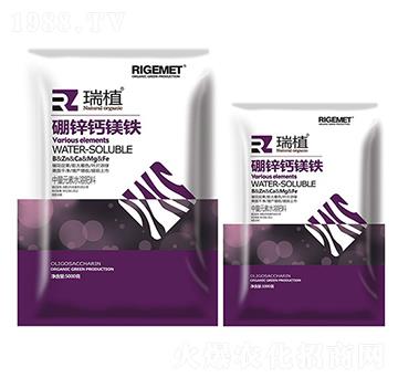 中微量元素水溶肥-硼鋅鈣鎂鐵-瑞閣邁特