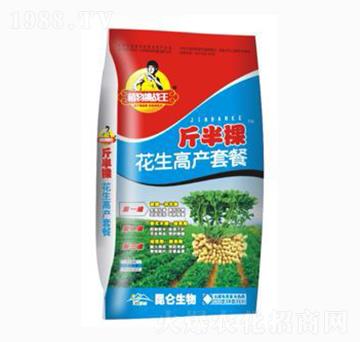 �����߮a(ch��n)�ײ�-����-�����_(d��)